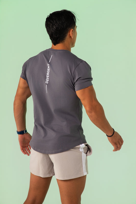 DVGT Divergent Essential T-Shirt Grey